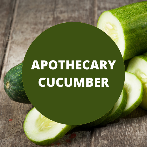 SCENT: Apothecary Cucumber