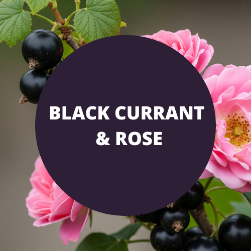 SCENT: Black Currant & Rose