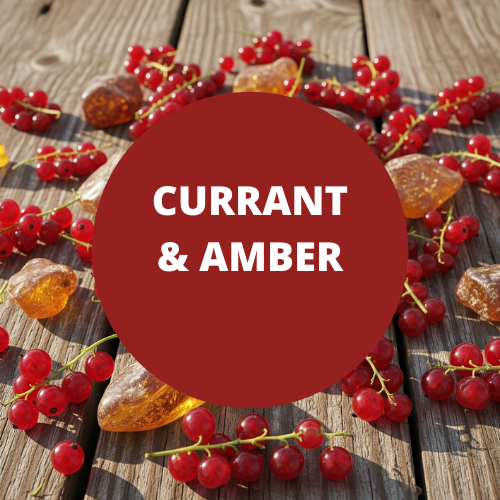 SCENT: Currant & Amber