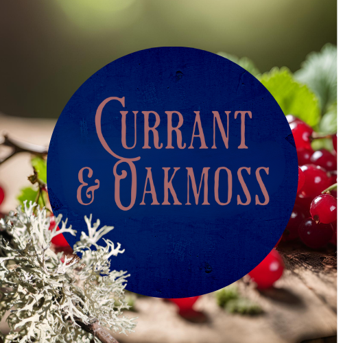 SCENT: Currant & Oakmoss