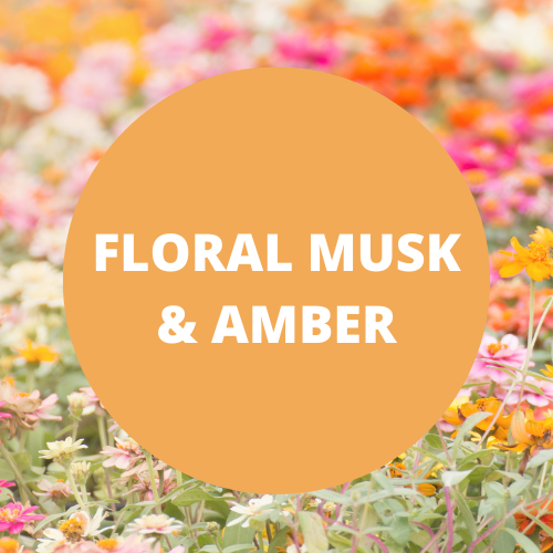 SCENT: Floral Musk & Amber