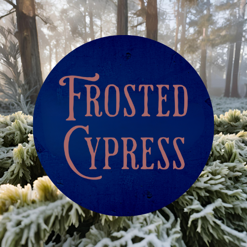 SCENT: Frosted Cypress