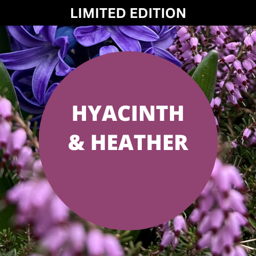 SCENT: Hyacinth & Heather