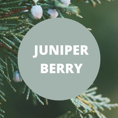 SCENT: Juniper Berry