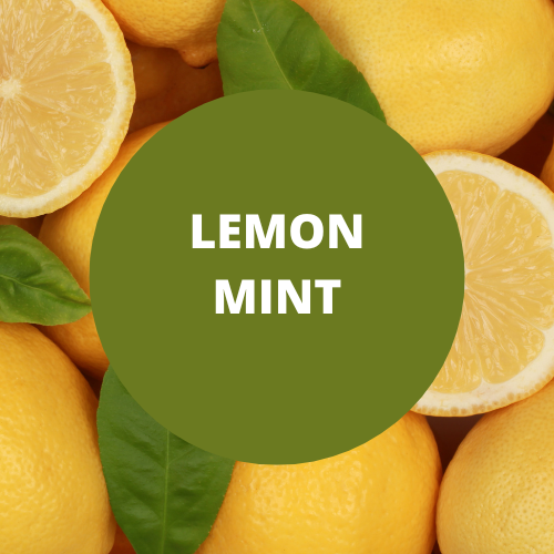SCENT: Lemon Mint