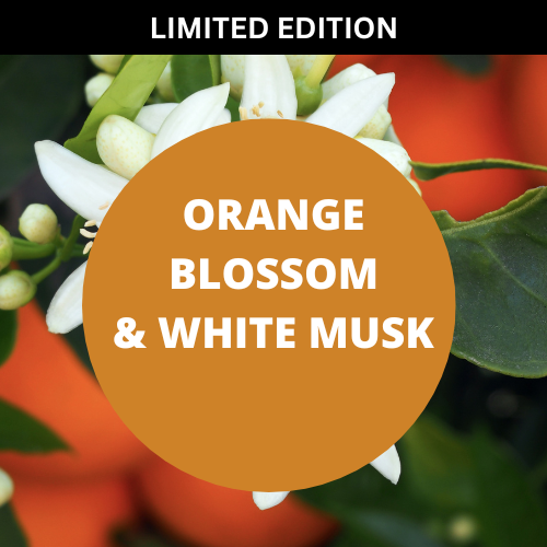 SCENT: Orange Blossom & White Musk