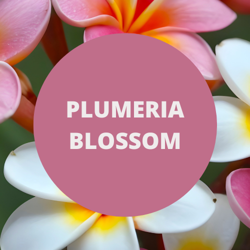 Plumeria Blossom Fragrance Collection