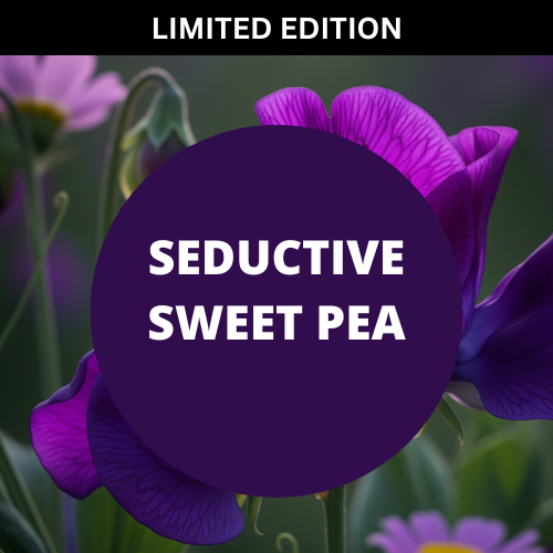 SCENT: Seductive Sweet Pea