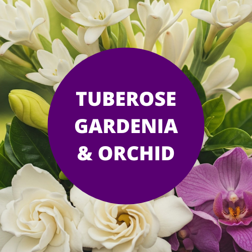 SCENT: Tuberose Gardenia Orchid