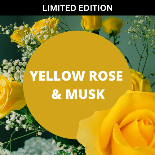 Yellow Rose & Musk Fragrance