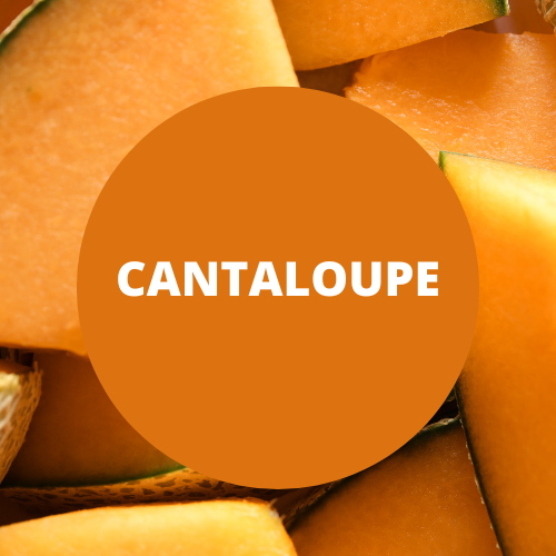 SCENT: Cantaloupe