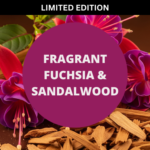 SCENT: Fragrant Fuchsia & Sandalwood