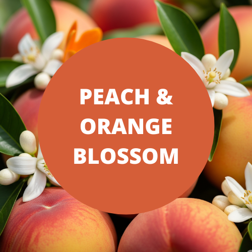 SCENT: Peach & Orange Blossom