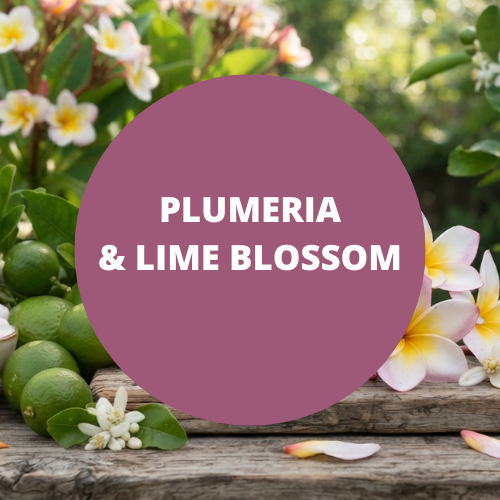 SCENT: Plumeria & Lime Blossom