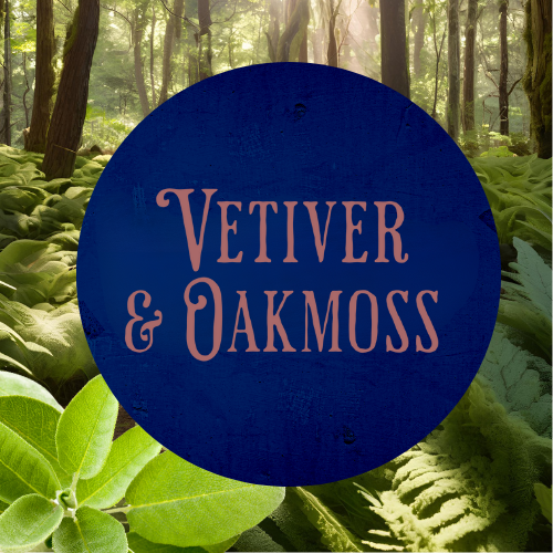 SCENT: Vetiver & Oakmoss