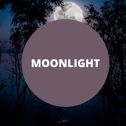 SCENT: Moonlight
