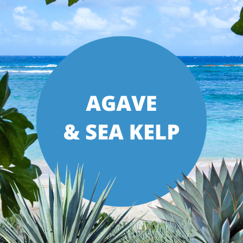 Agave & Sea Kelp Scented Epsom Salt Bath Soak