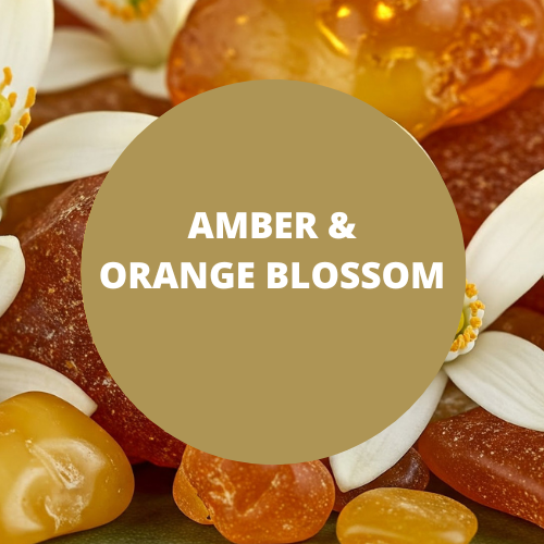 Amber & Orange Blossom Scented Hand-Dipped Charcoal Incense Sticks