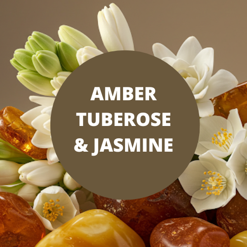 Black Canyon Amber Tuberose & Jasmine Scented Body Lotion