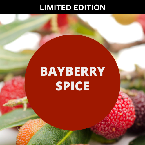 Bayberry Spice Scented Shimmering Body Lotion