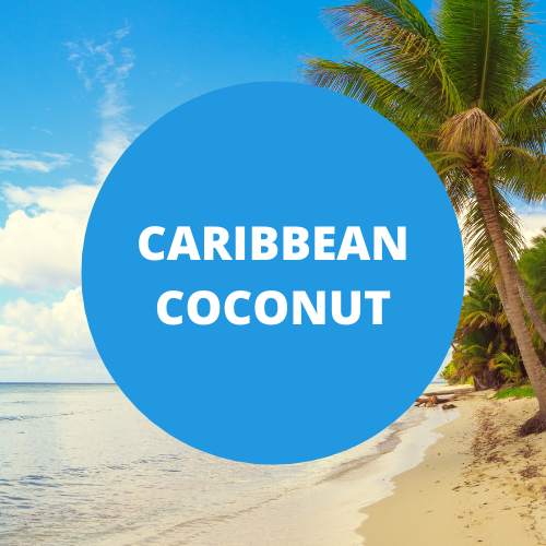 Caribbean Coconut Scented Vegan Massage Oil