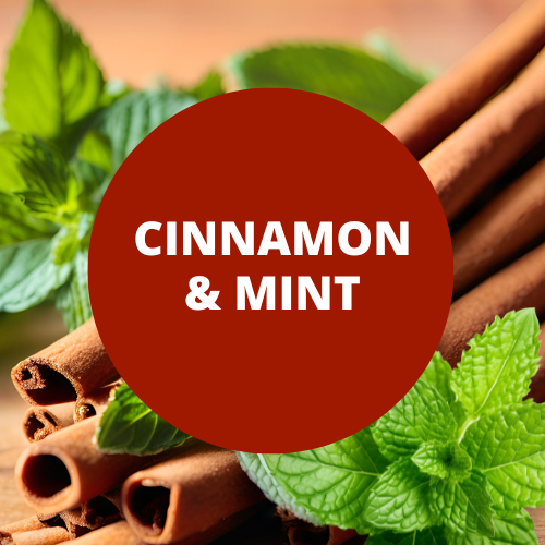 Cinnamon & Mint Scented Crafting Fragrance Oil For Soapmaking