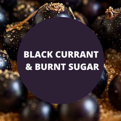 Black Currant & Burnt Sugar Scented Shimmering Lotion Spray