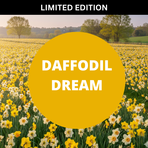 Daffodil Dream Scented Shimmering Body Spray