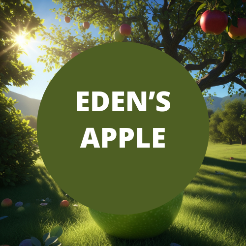 Black Canyon Eden's Apple Scented Body Spray