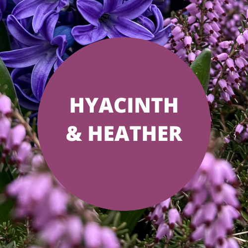 Hyacinth & Heather Scented Potpourri