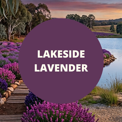 Lakeside Lavender Scented Hand crafted Perfume