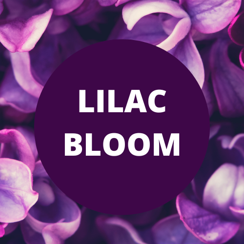 Black Canyon Lilac Bloom Scented Argan Oil Hair Conditioner