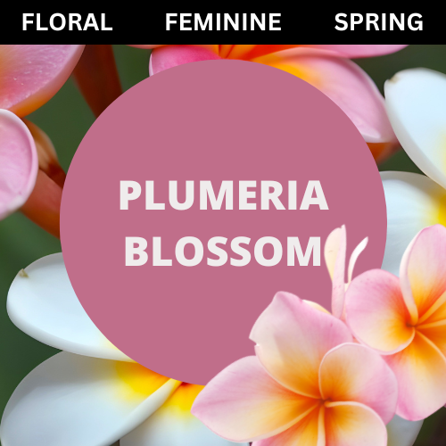 Black Canyon Plumeria Blossom Scented Body Spray