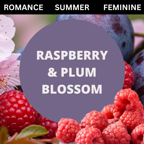 Black Canyon Raspberry & Plum Blossom Scented Body Lotion