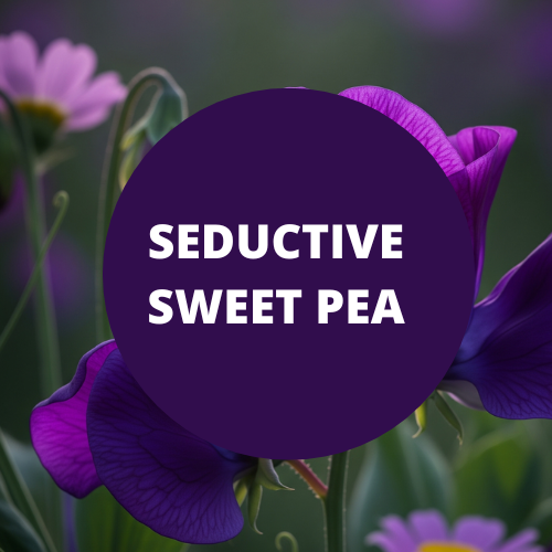 Seductive Sweet Pea Scented Vegan Hair Conditioner