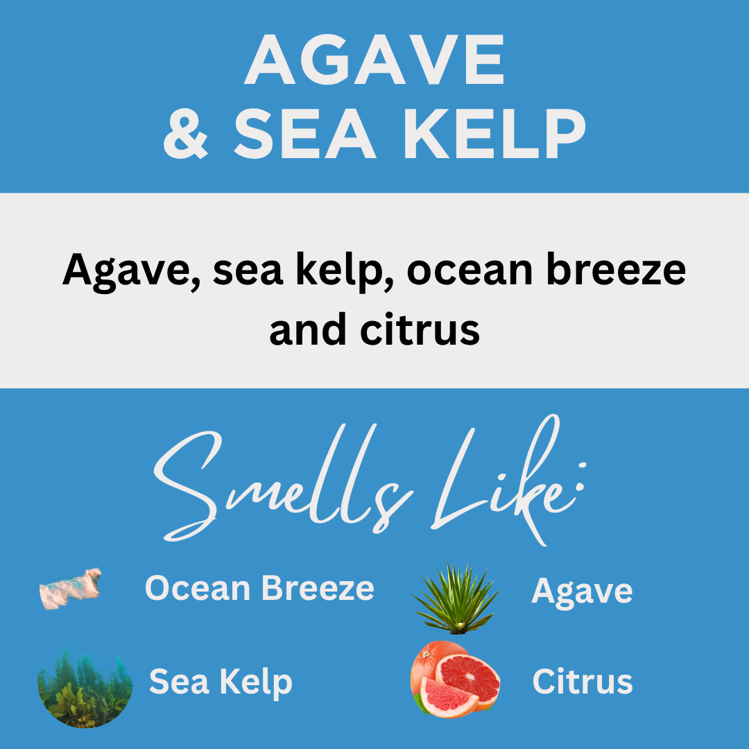 Agave & Sea Kelp Scented Epsom Salt Bath Soak