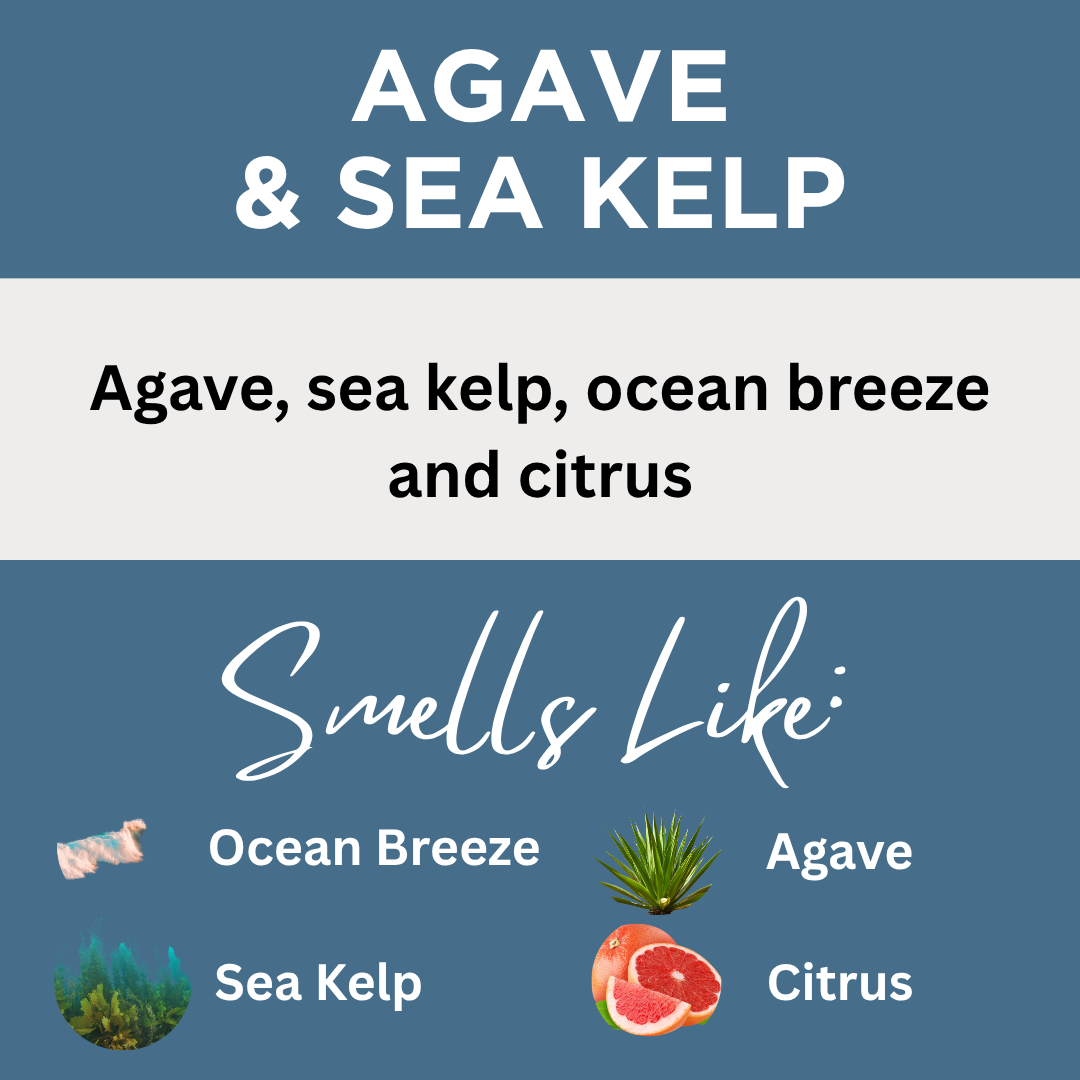 Agave & Sea Kelp Scented Sugar Scrub