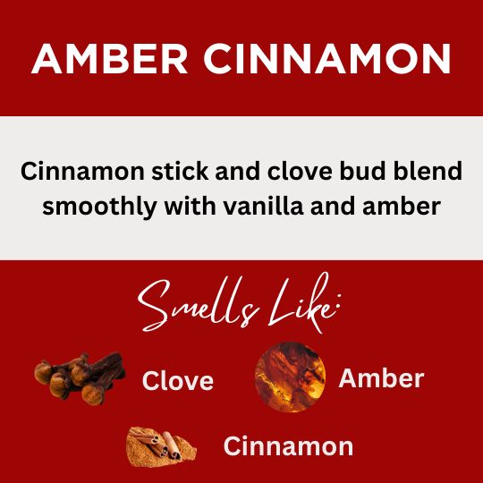 Amber Cinnamon Scented Hand-Dipped Charcoal Incense Sticks