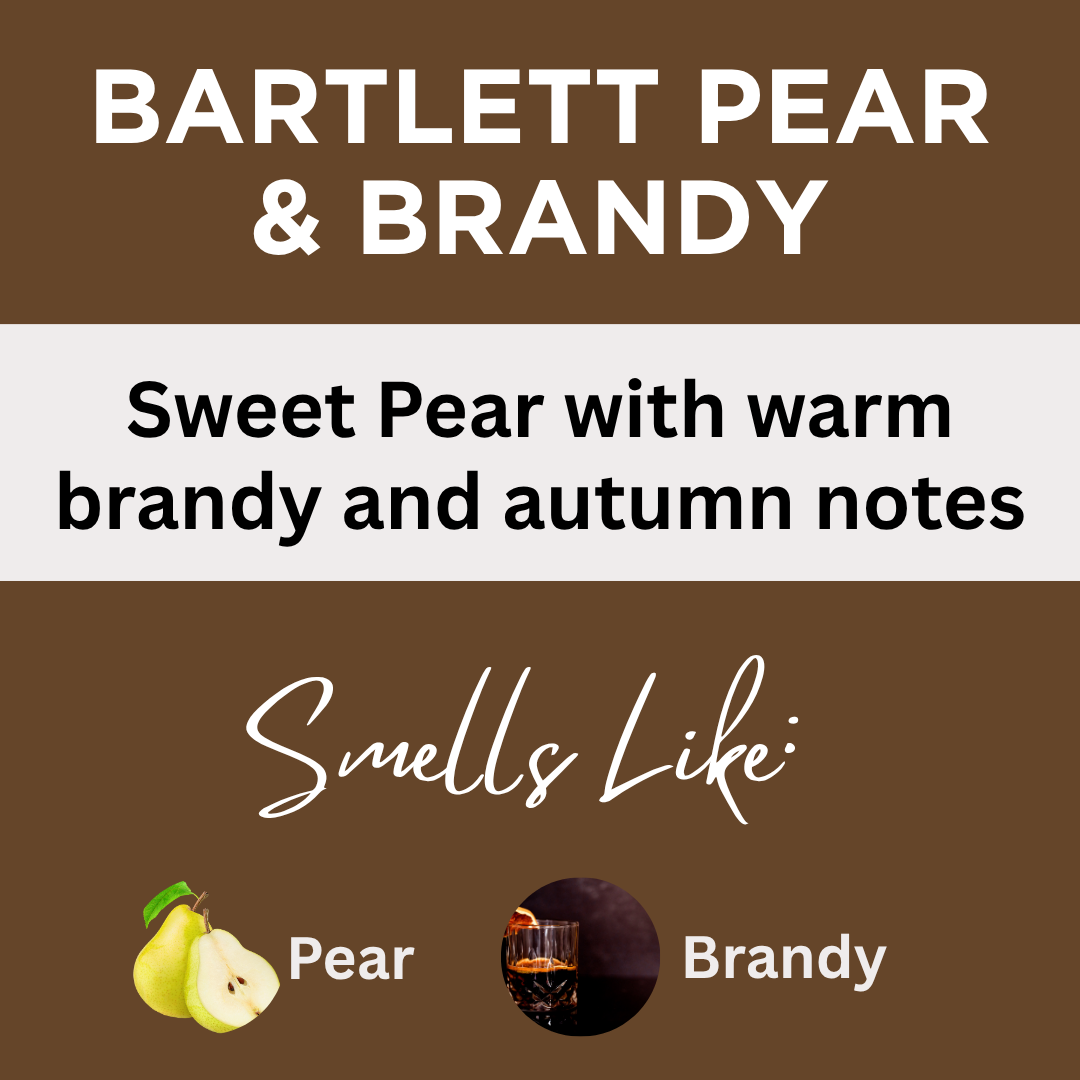Fall Scents Body Lotion Variety Set