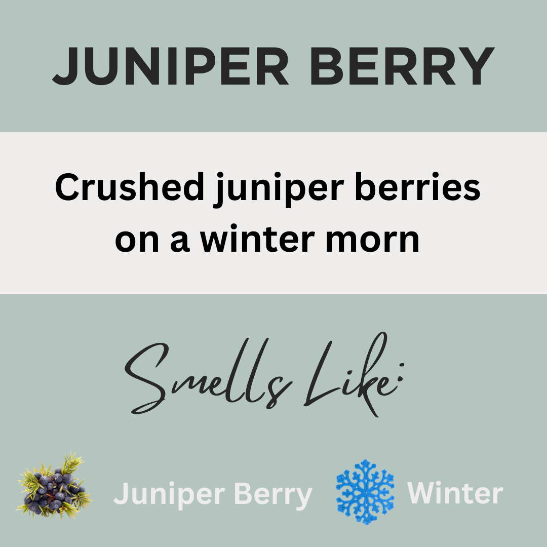 Black Canyon Juniper Berry Scented Body Lotion