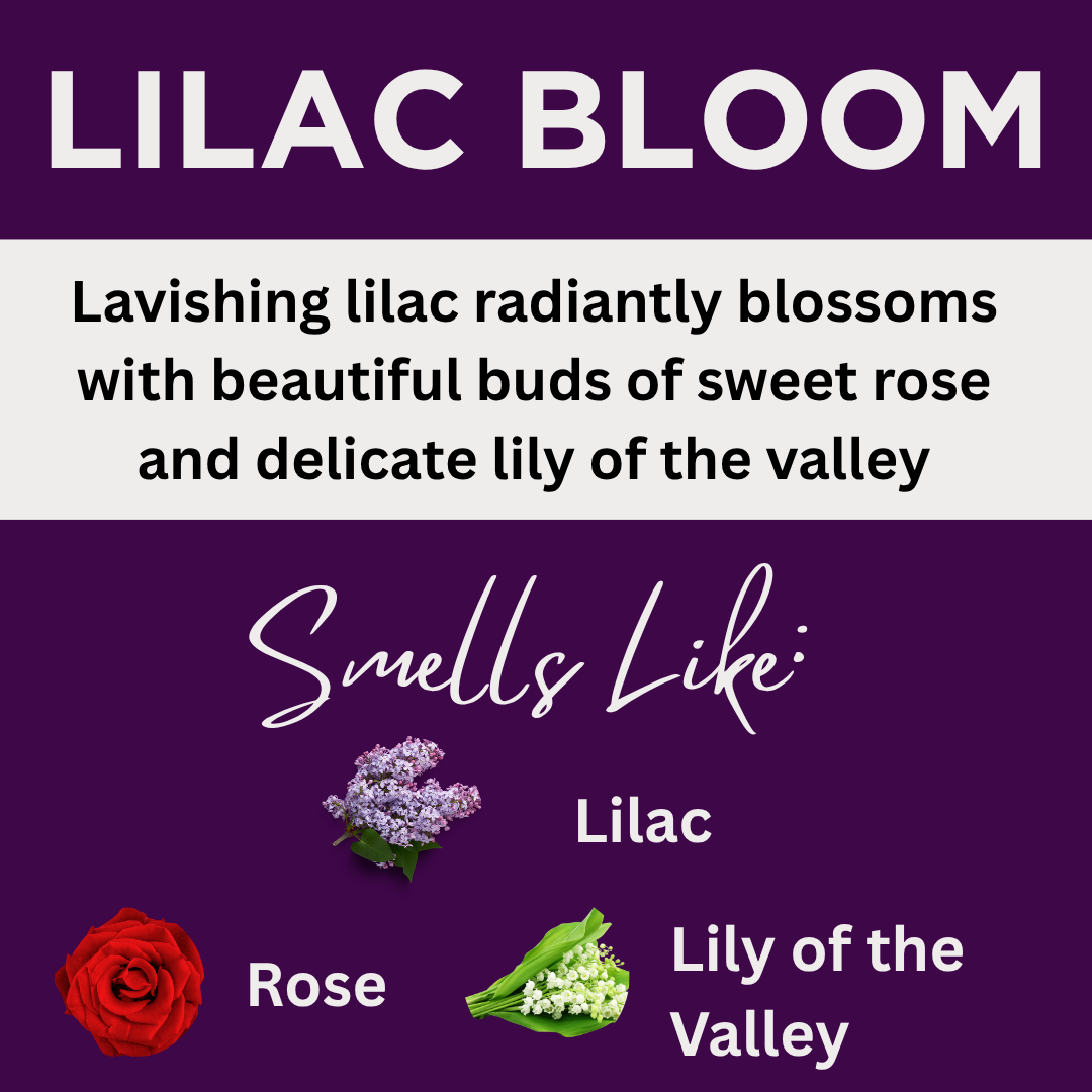 Black Canyon Lilac Bloom Scented Argan Oil Hair Conditioner
