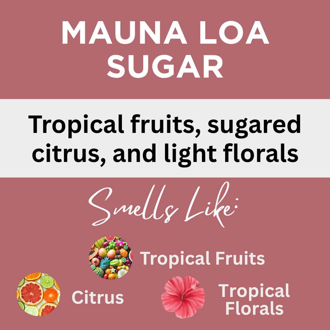 Tropical Scents Body Lotion Variety Set