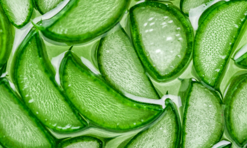 Why We Use Aloe Vera in Our Liquivera Body Lotions