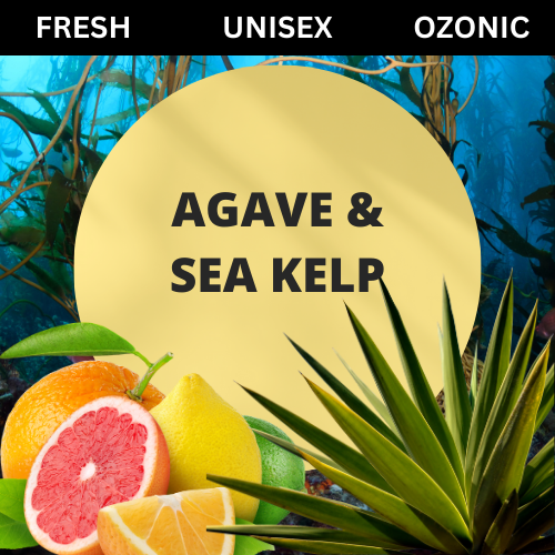 SCENT: Agave & Sea Kelp