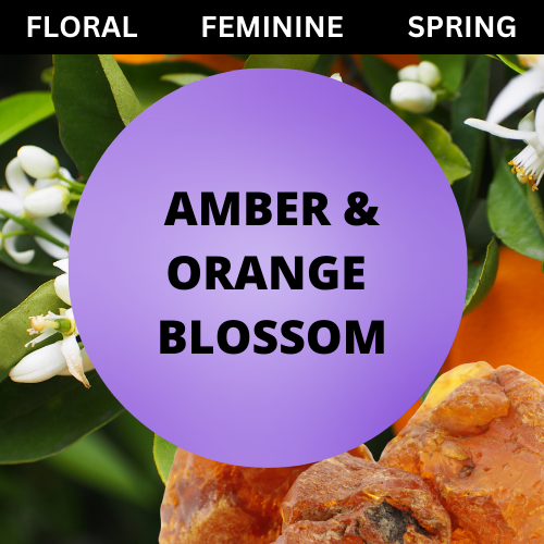 SCENT: Amber & Orange Blossom