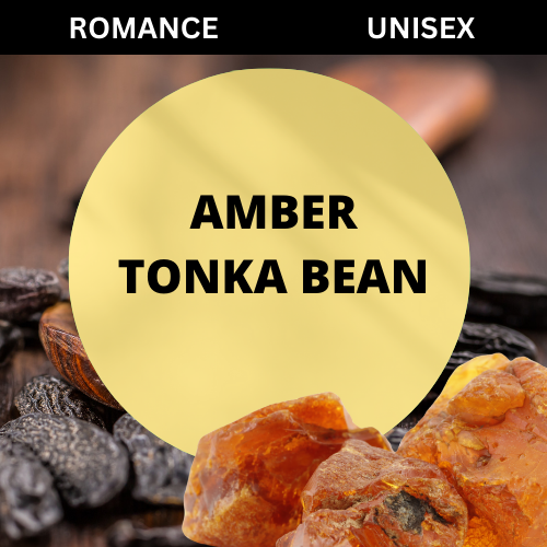 SCENT: Amber Tonka Bean