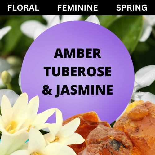 SCENT: Amber Tuberose & Jasmine