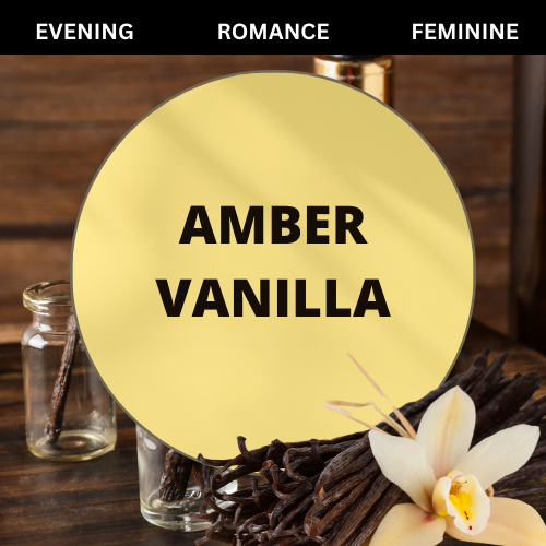 SCENT: Amber Vanilla