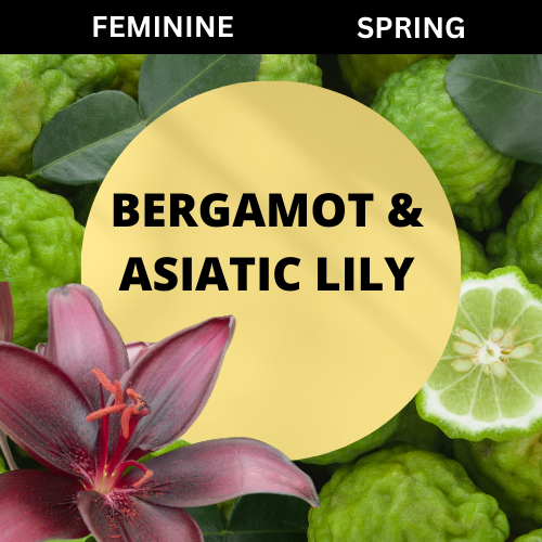 SCENT: Bergamot & Asiatic Lily