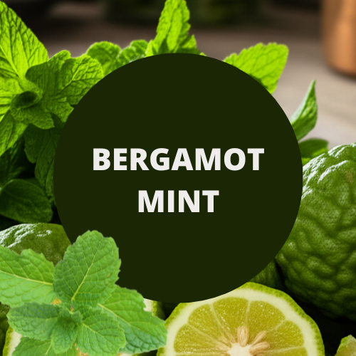 SCENT: Bergamot Mint